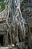 Ta Prohm temple - ruins of the central sanctuary.